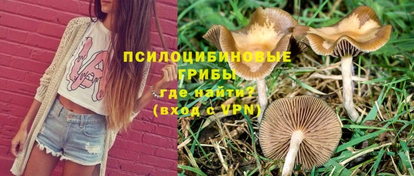мескалин Абаза